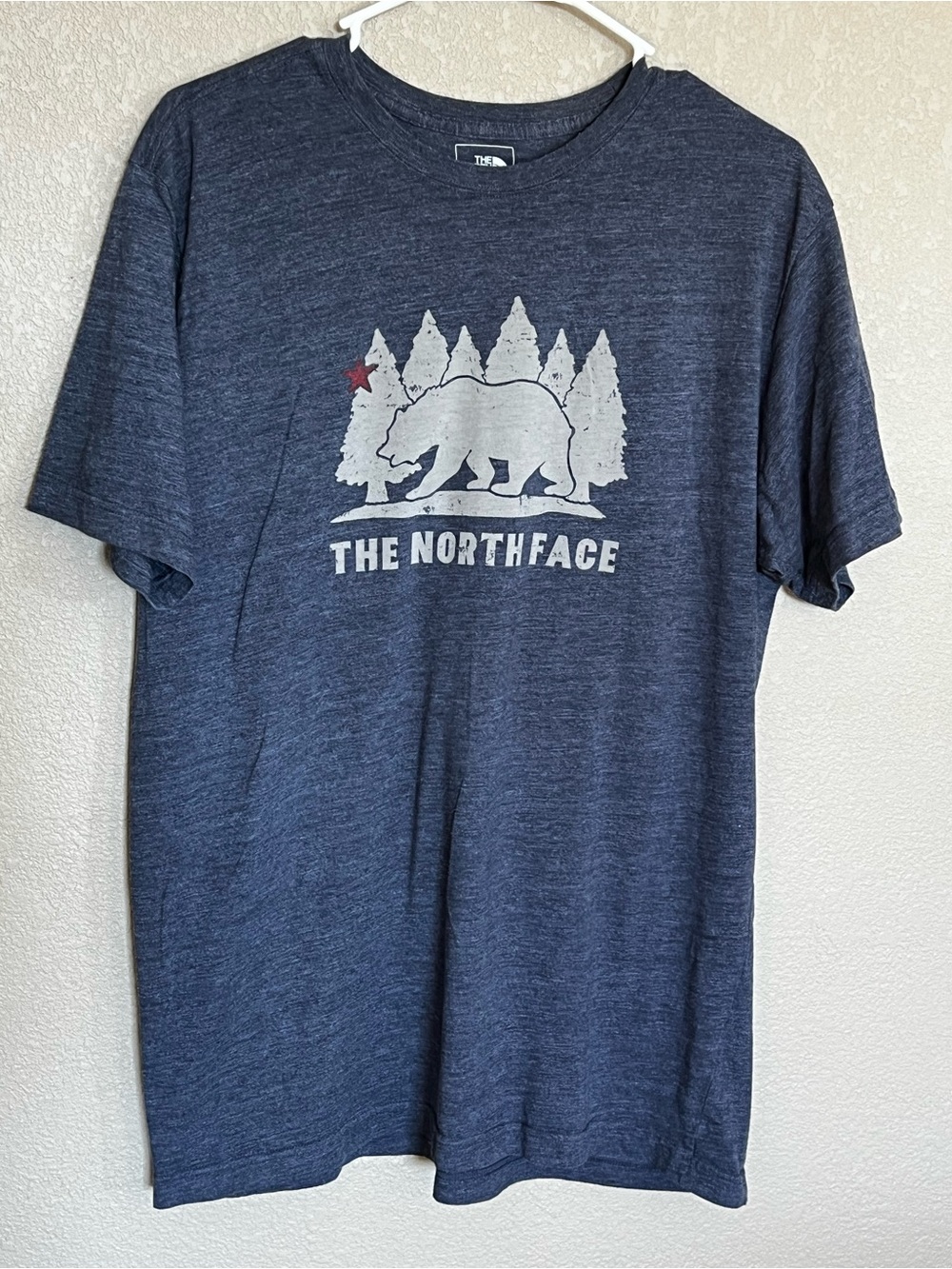 The North Face Men's Cali Bear short sleeve graphic t-shirt in a heathered blue